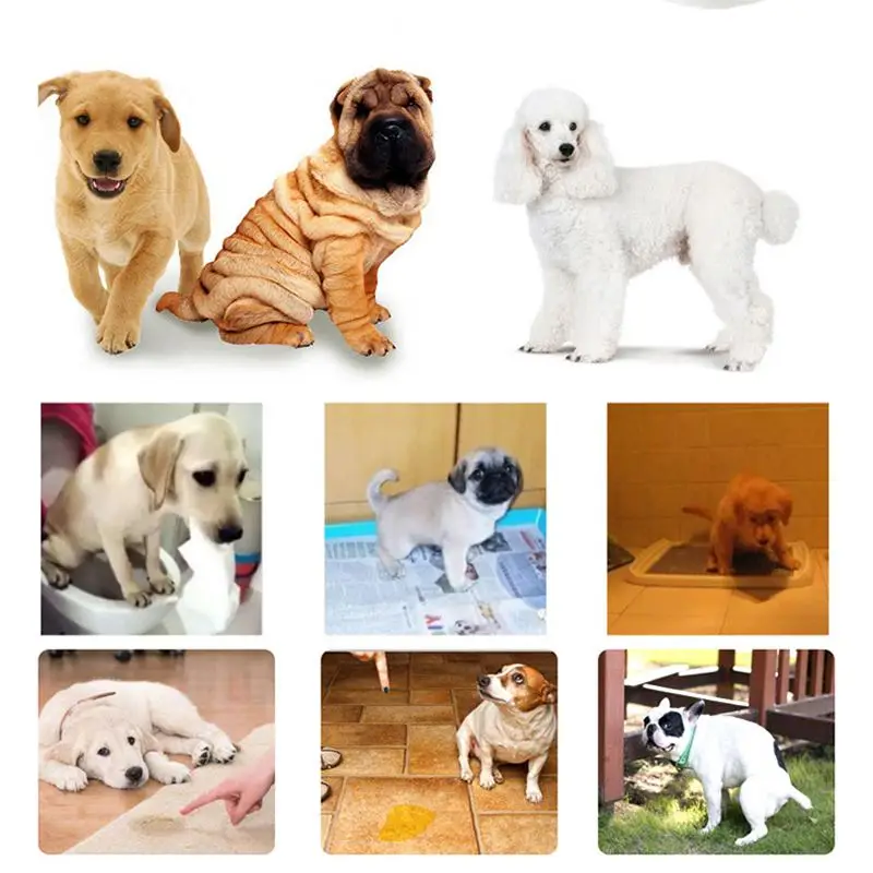 30 мл приспособление для тренировки горшка собак SprayCorrector Guide Pet To Pee Potty