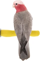 feet and beak comfort grip safety perch for bird cages patented pumice perch for birds to keep nails and beaks in top condition