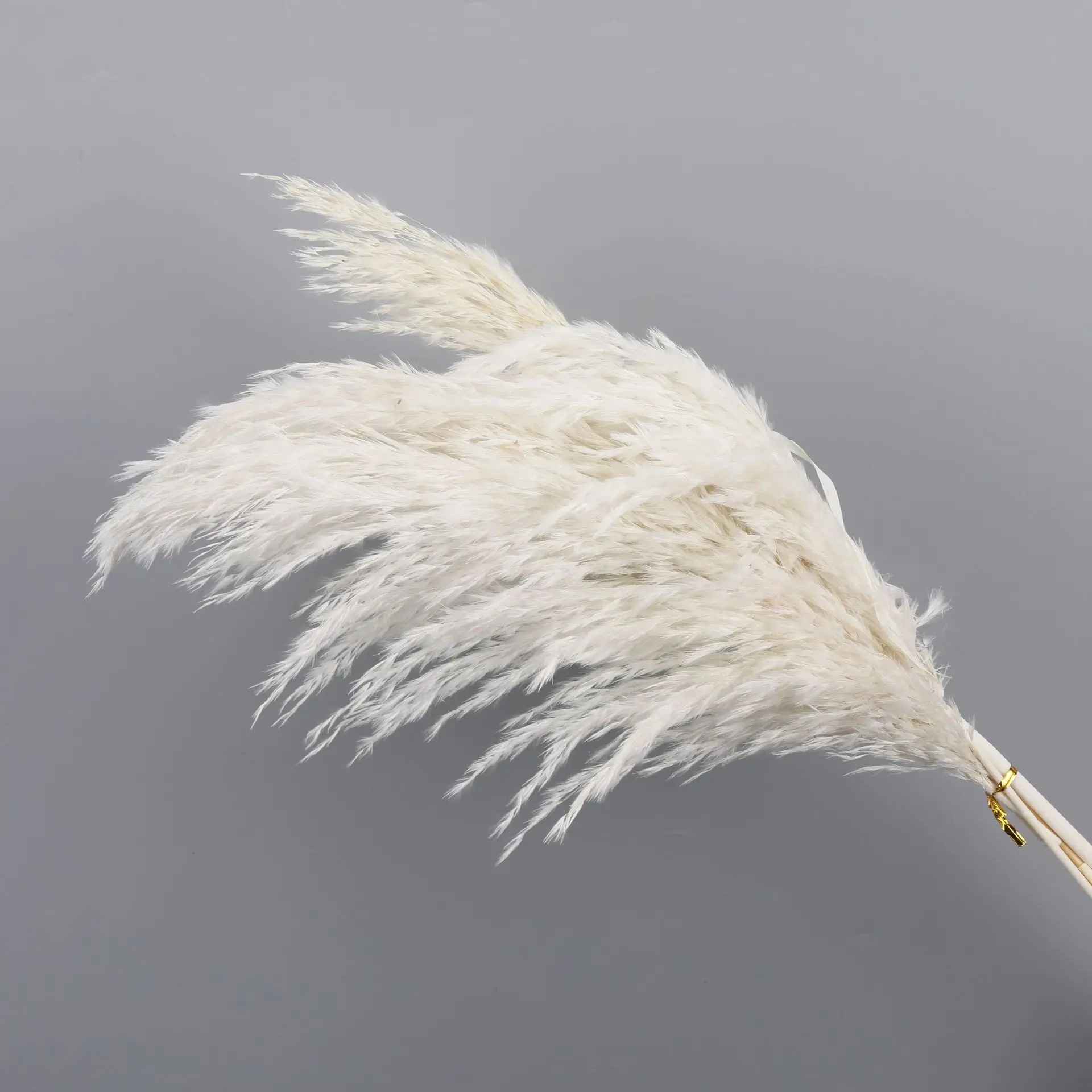 natural dried plants dried reeds bunch small pampas grass diy craft wedding bouquet photography props home decoration supplies free global shipping