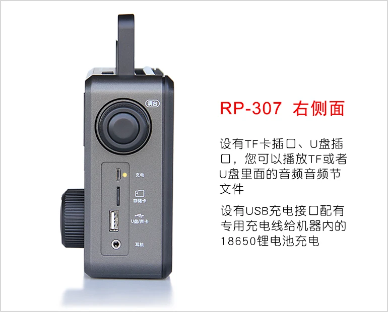 Оригинальный Tecsun RP307 WAV APE FLAC Bluetooth-динамик портативный FM SW MW Радио USB TF SD карта