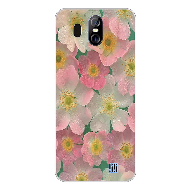 ZX09 Чехол для Silicone S16 чехол силиконовый окрашенный чехол для HOMTOM S16 Чехлы для кошек Сова ack Чехлы для Fundas S16 Fundas Capa корпус сумки - Цвет: ZX09