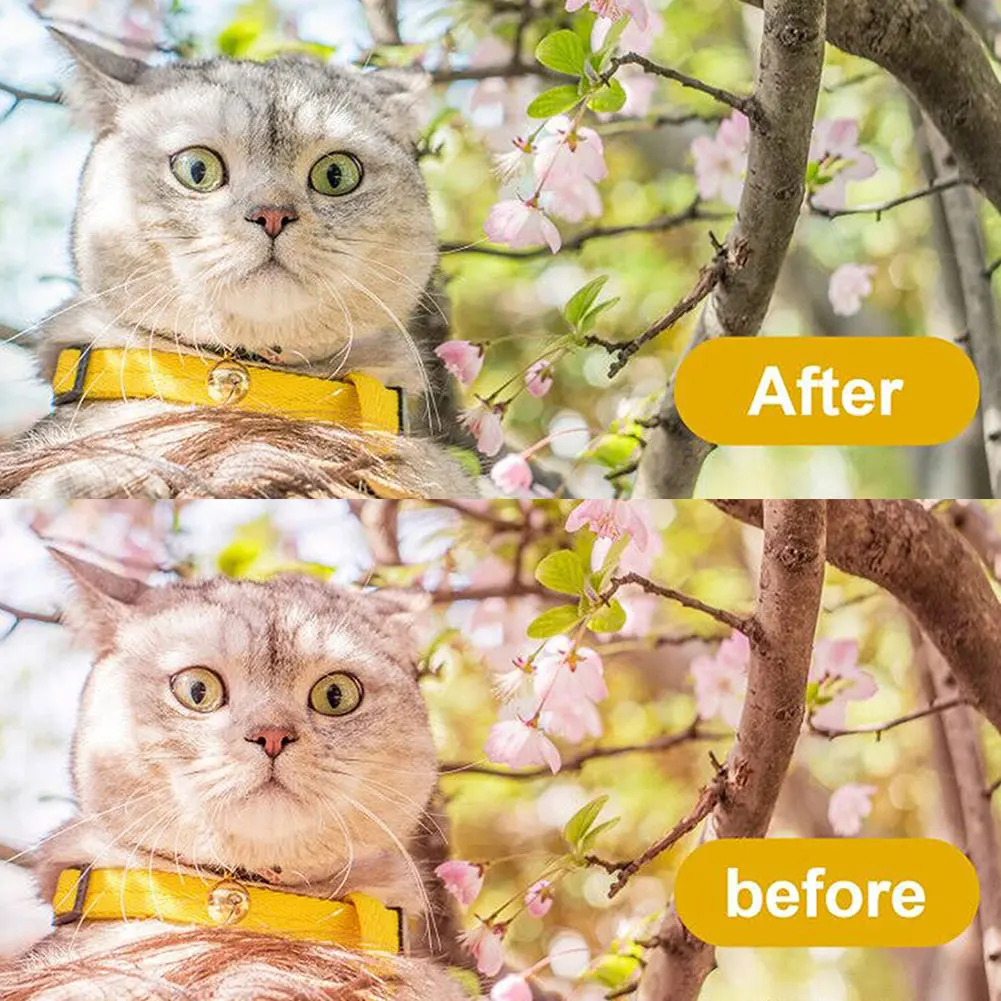 

Camera Accessory 3in1 Pocket-Size Digital White Black Grey Balance Cards 18% Gray Card With Neck Strap For Digital Photography