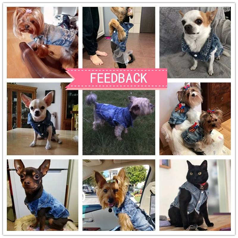 Жилет для домашних питомцев рубашки одежда на весну и осень джинсовая футболка