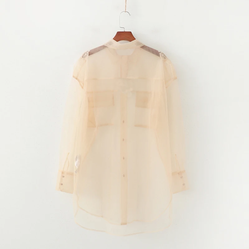 Женская прозрачная блузка с отложным воротником и длинным рукавом весна-лето 2019 |
