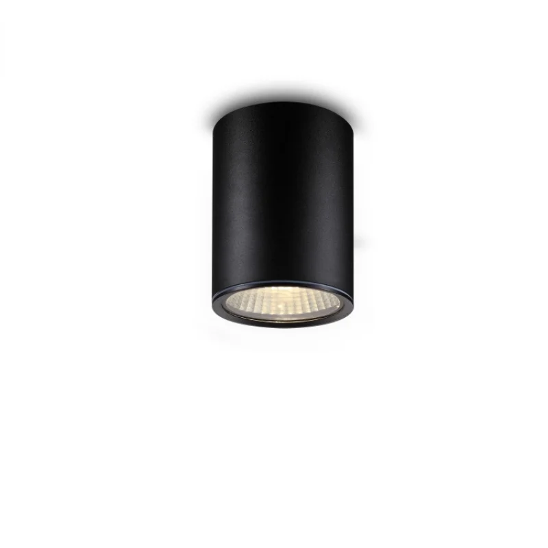 

Modern outdoor IP65 cylinder led ceiling light