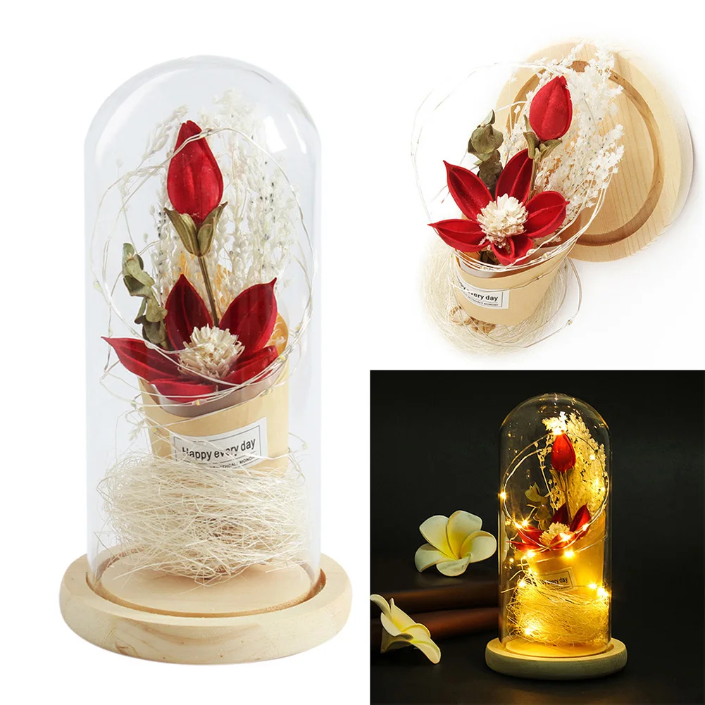 Светодиодный чехол из стекла Bionic Dry Flower Micro Landscape декоративный светильник