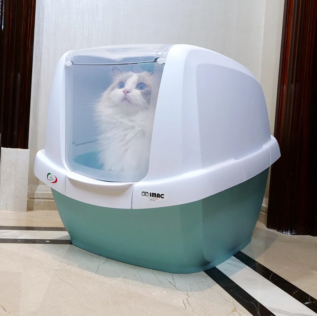 Большая самоочищающаяся коробка для кошачьего туалета зеленая тренировочная