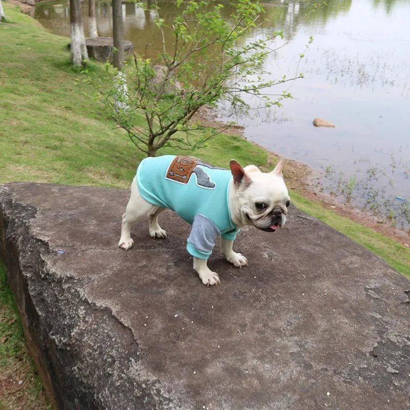 

Pet Cat Dog Autumn And Winter Fleece Color Sweater