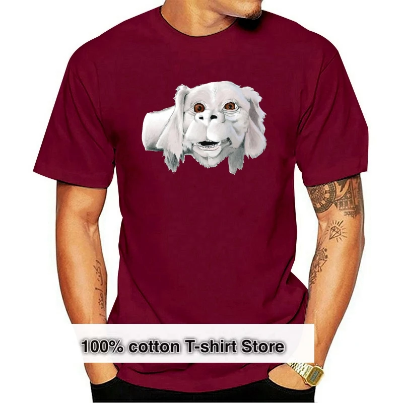 

Футболка с надписью «Falkor», «Церковная история»