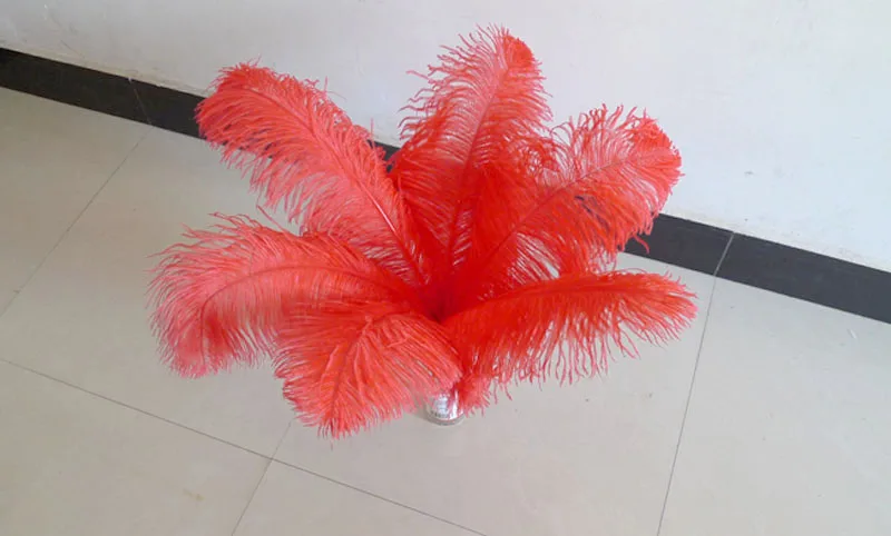 

Wholesale10 Pcs/Lot 15-75CM Natural Red Ostrich Feathers For Crafts Carnival Costumes Party Home Wedding Decorations Plumes