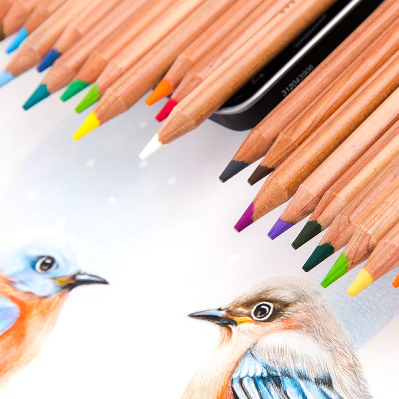 Профессиональный карандаш для масляных оттенков фотографический ландшафта