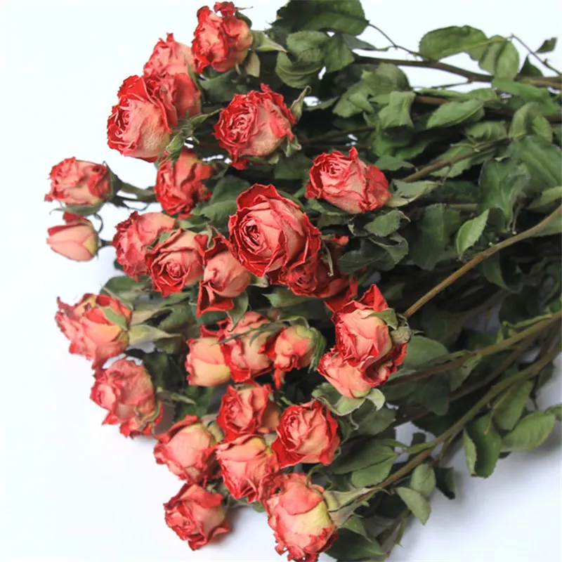 

2021 Limited New Arrival 15pcs Dark Pink Dried Flowers Rose Romantic Bubble Small Flower Dry Furnishing Bouquet Decorate Home