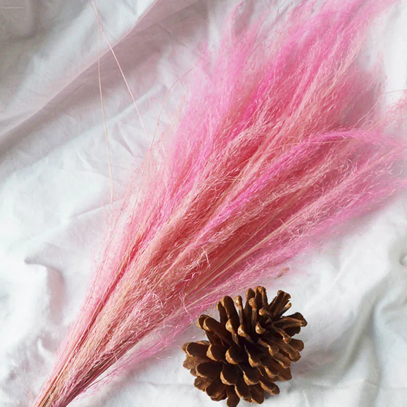 Сухие цветы с 50 стеблями маленькая пампасная трава сухие букет для свадьбы