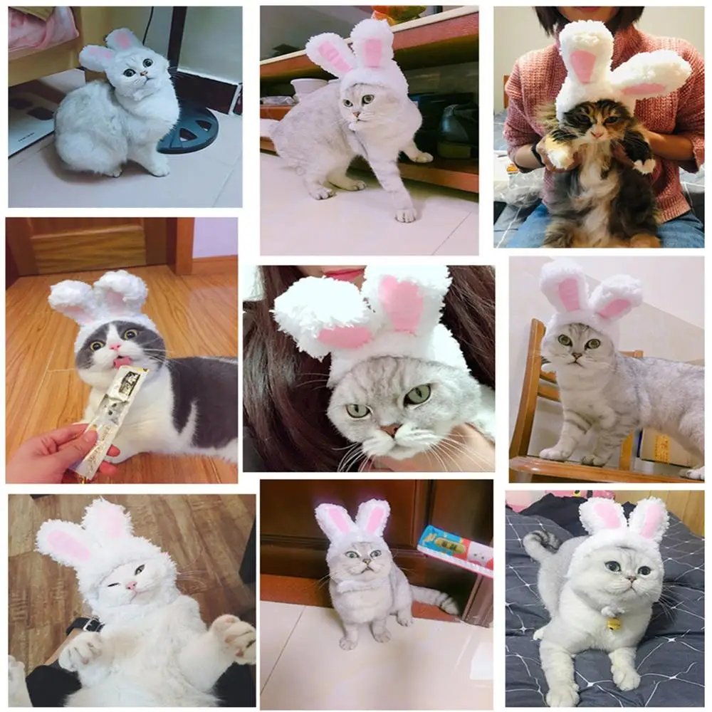 Забавный милый костюм для домашних животных косплей шапка с кроликом кошки