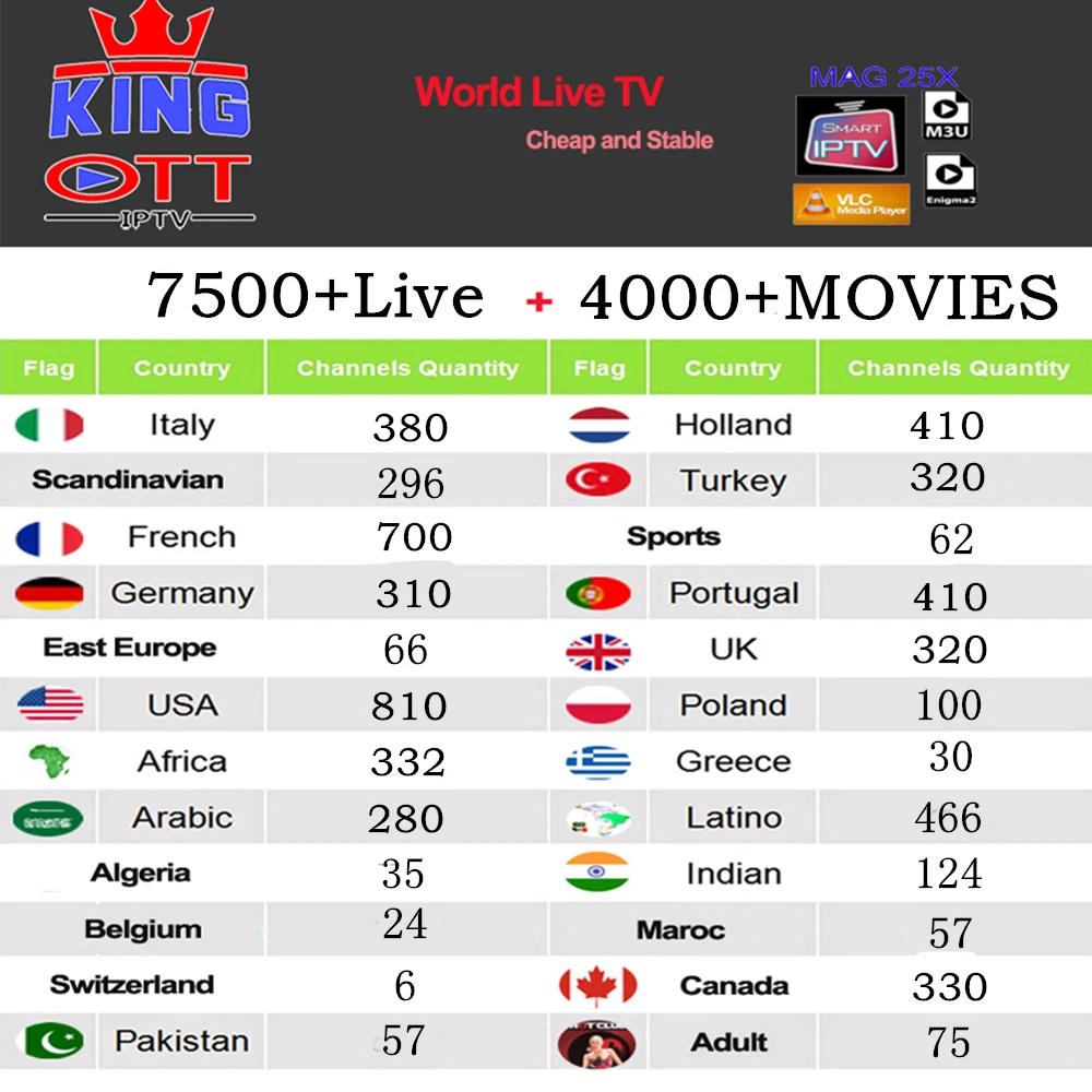 Французский IP tv X96 MAX android 8,1 tv box с IP tv подпиской Швеция Италия голландская Европа Испания США M3U взрослый xxx IP tv smarters