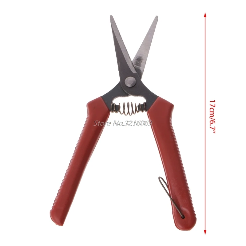 

Carbon Steel Head Gardening Scissors Cutting Branch Shears Bypass Pruner Wholesale&DropShip