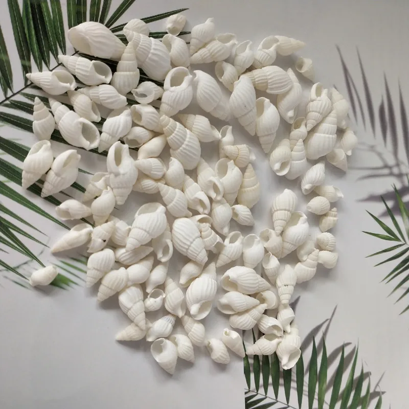 50 шт./лот маленький размер 1 5 см раковины натуральное ремесло Морская раковина