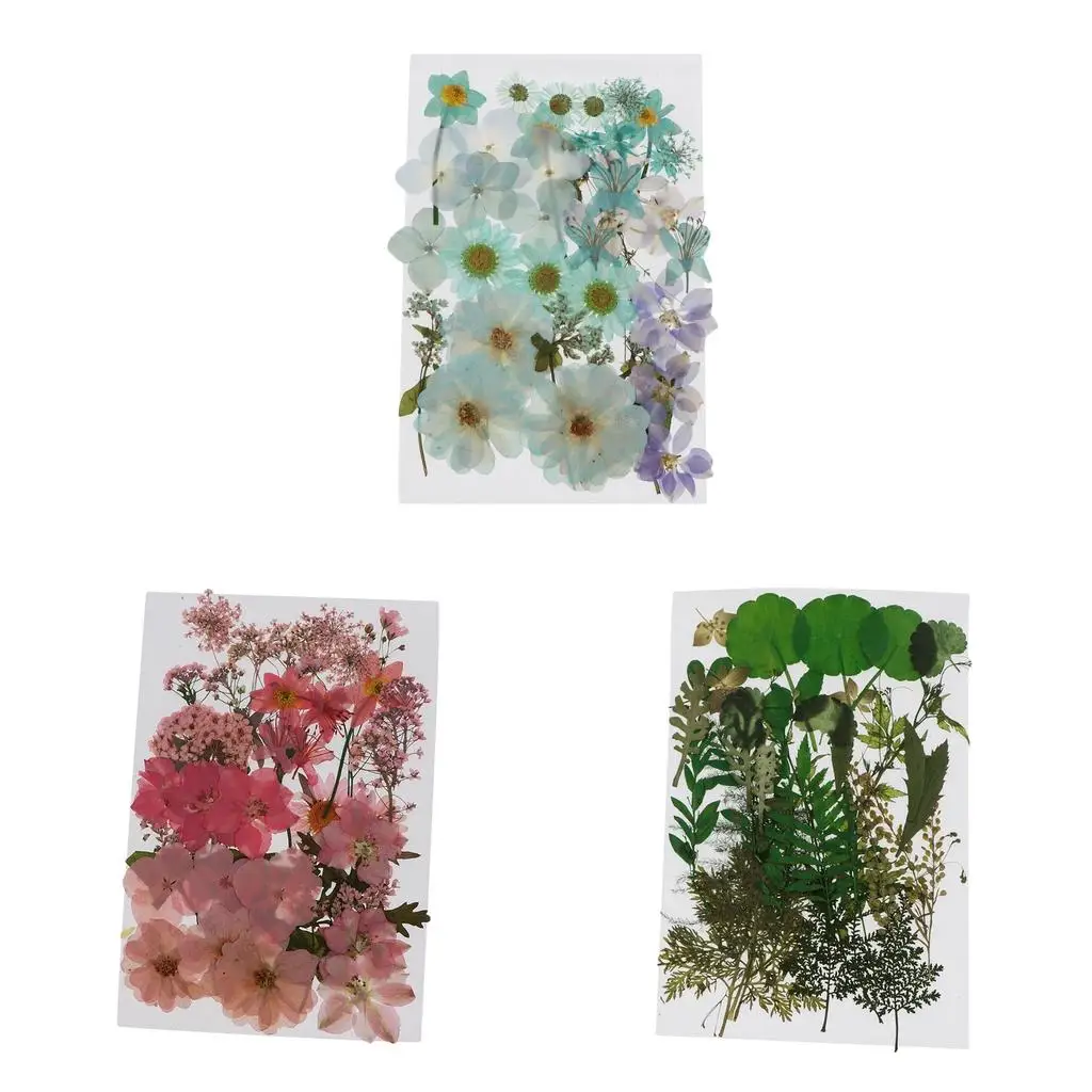 

115Pc Natural Real Pressed Dried Flowers DIY Scrapbook