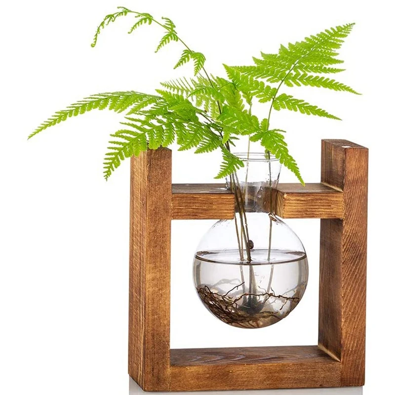 

Propagation Station Glass Planter Vase Terrarium Tabletop Plants Desktop Spherical Shape Glass Vase Wooden