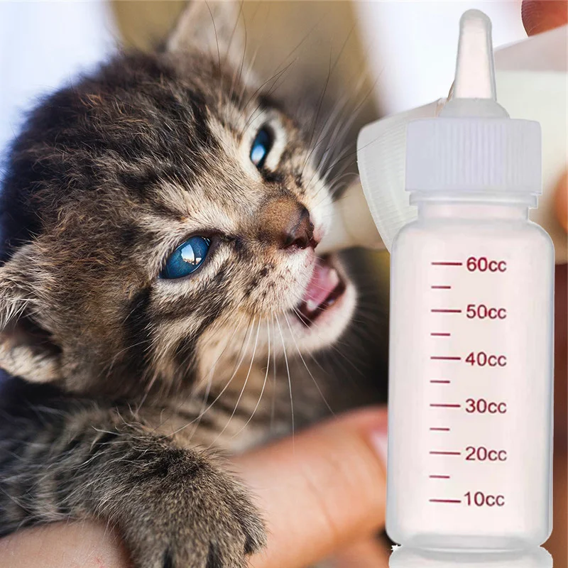 

Cats Bottle 60ml Kittens Dog Feeding Bottle Water Bowls Tools for Syringe Dog and Portable Water Bottle Pet Nursing Supplies