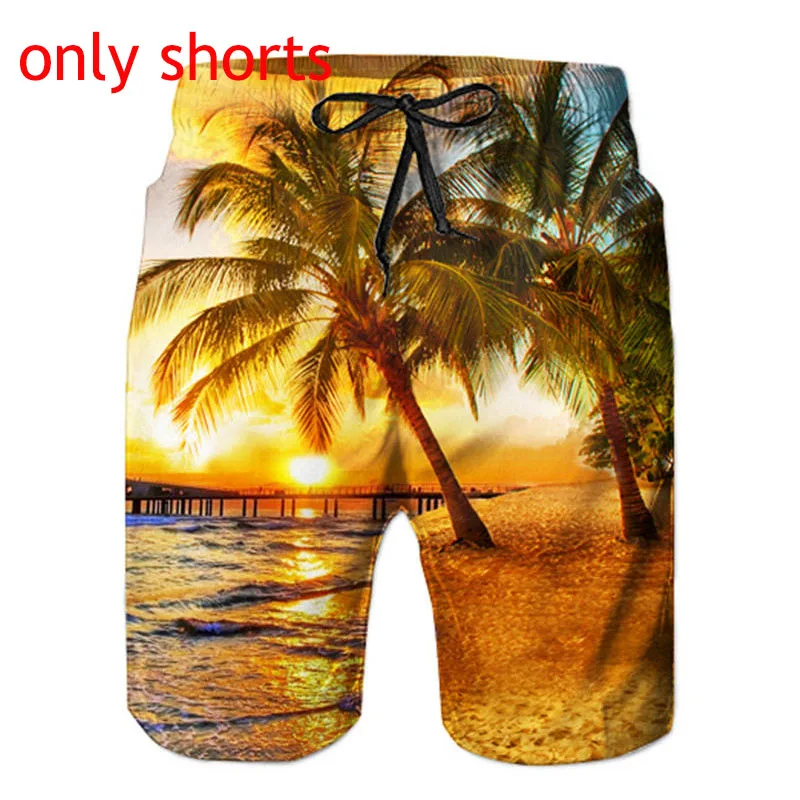 only shorts Мужской комплект из 2 предметов, Гавайские рубашки, шорты, ананас, 3d принт, мужские с коротким рукавом, гавайская рубашка, шорты, брюки, костюм из двух предметов - Цвет: only shorts