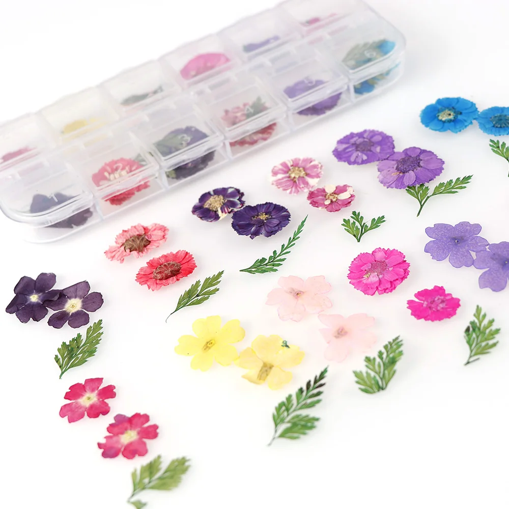 1 коробка натуральных сушеных цветов настоящие растения из смолы силиконовая