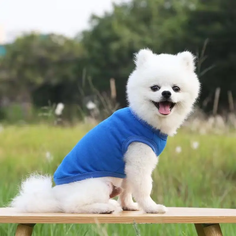 

Spring Summer Clothes Dog Vest Cottton Plain Large Dog Supplies T-Shirt For Customize Small Medium and Large Dog Pet Products
