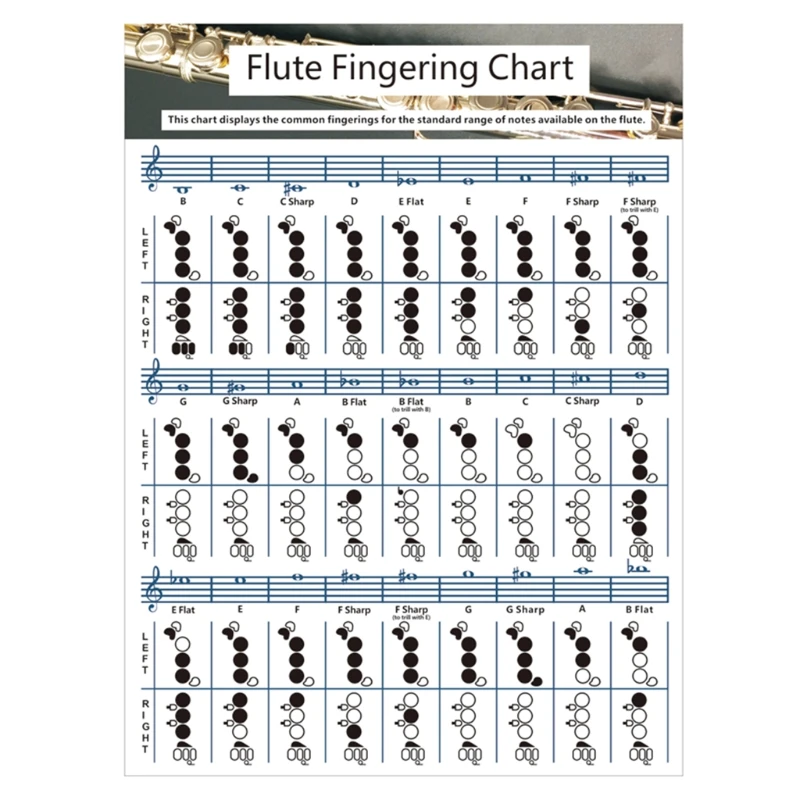 

A5KC Durable Professional Guitar Flute Chord Chart, Portable Fingering Practice Chord Chart for Beginner Student Practicing