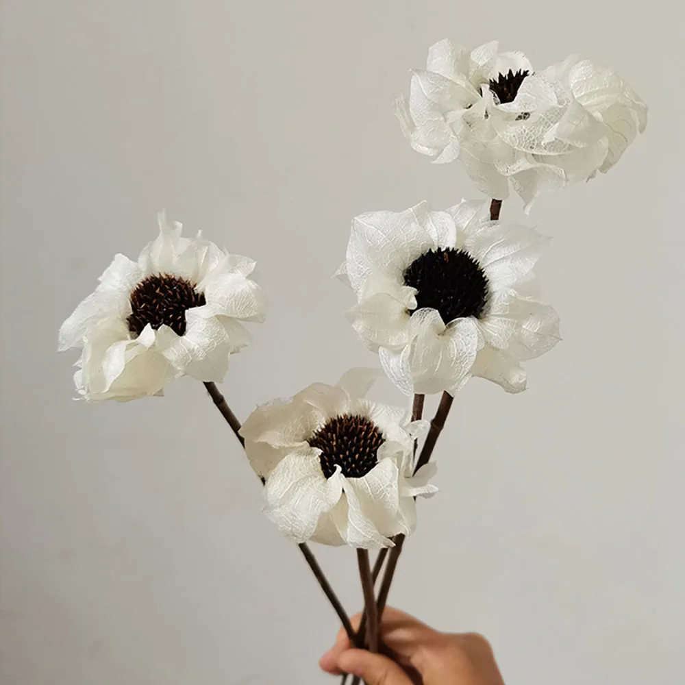 

5Pcs Natural Beautiful White Hibiscus Dried Flowers Home Decoration Ornaments Gifts For Lovers