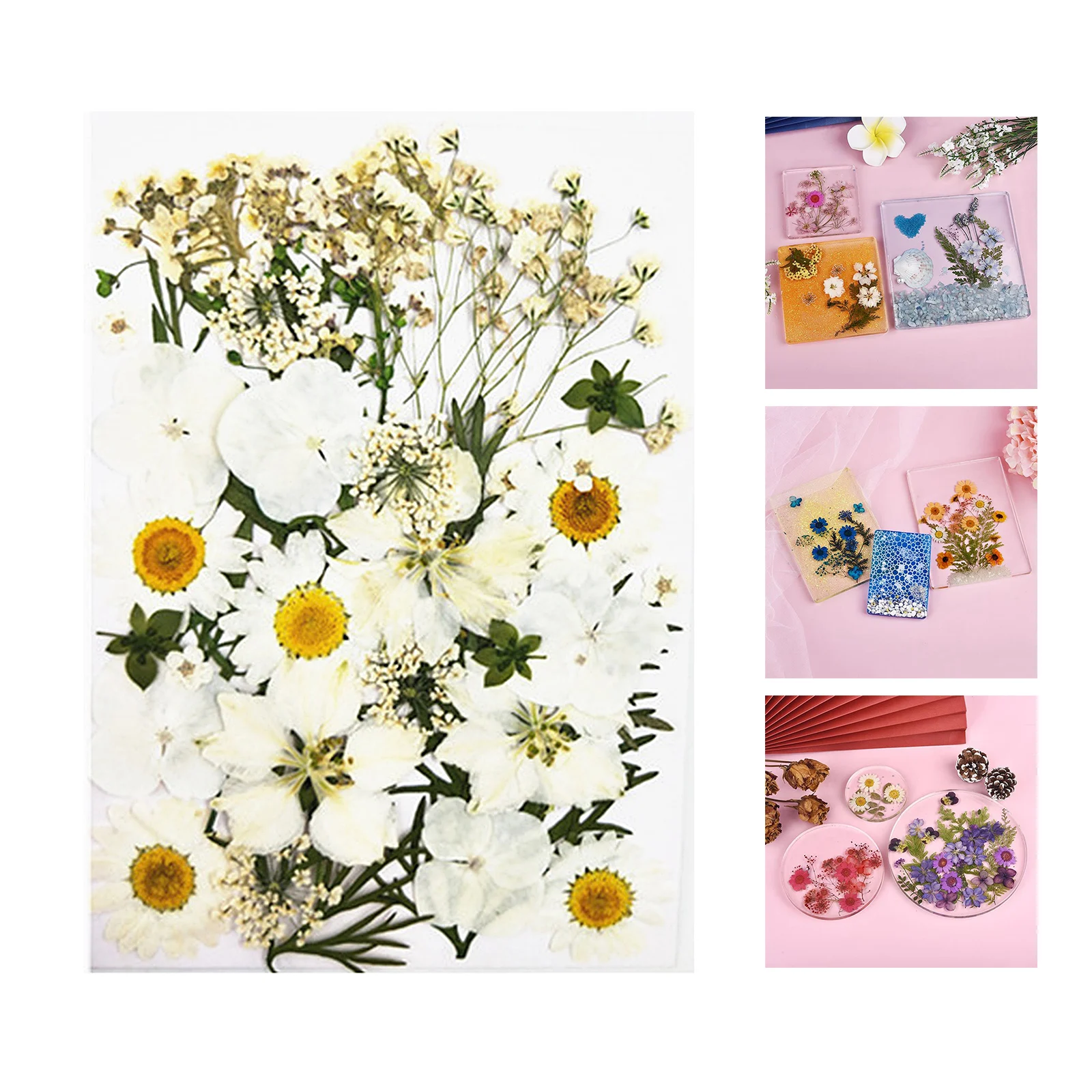 

Натуральные сушеные цветы в ассортименте, прессованные листья для эпоксидной смолы, ювелирные изделия «сделай сам»