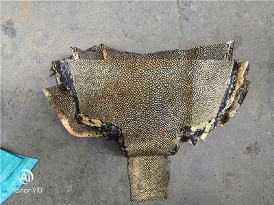 Красочные подлинные ската натуральный manmanta Ray рыбьей кожи штук для DIY кожа ремесленные часы ремень нож ручка материал 1,5 мм - Color: Laser Gold