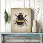Бамблби, Акварельная картина печати насекомых природа дом стены в искусстве энтомология искусства постер для детской комнаты росписи Декор