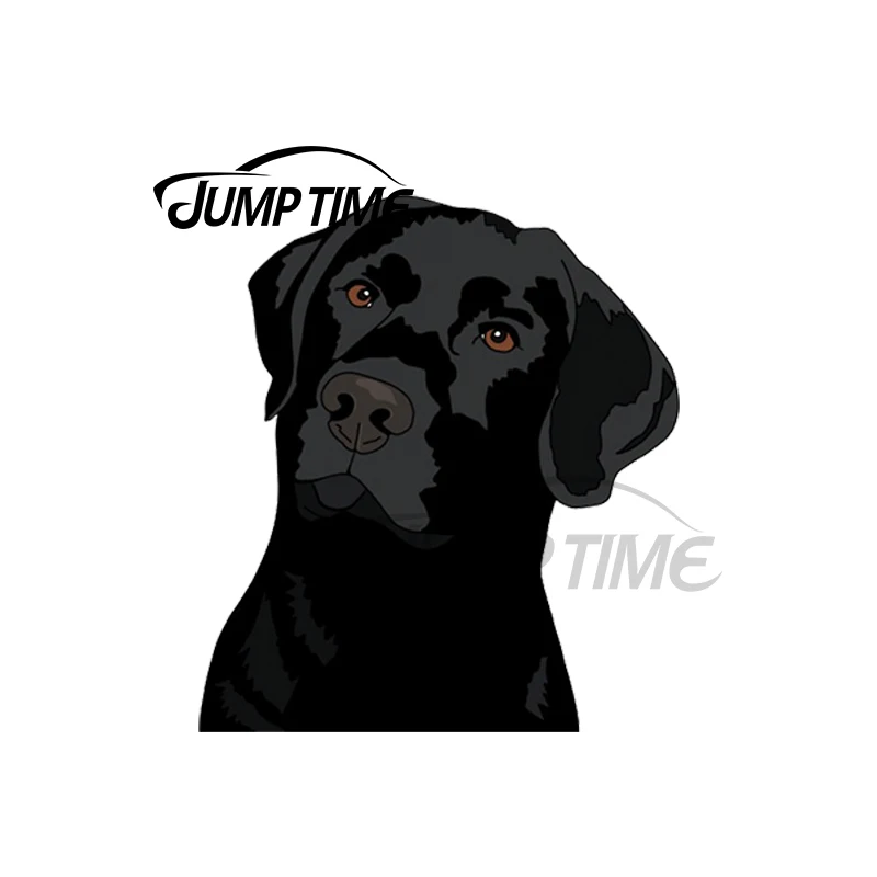 JumpTime 13 x 6cm For Duke the Lab Peeker Car Stickers Refrigerator Windows Decal Trunk Air Conditioner Graphics Vinyl Car Wrap