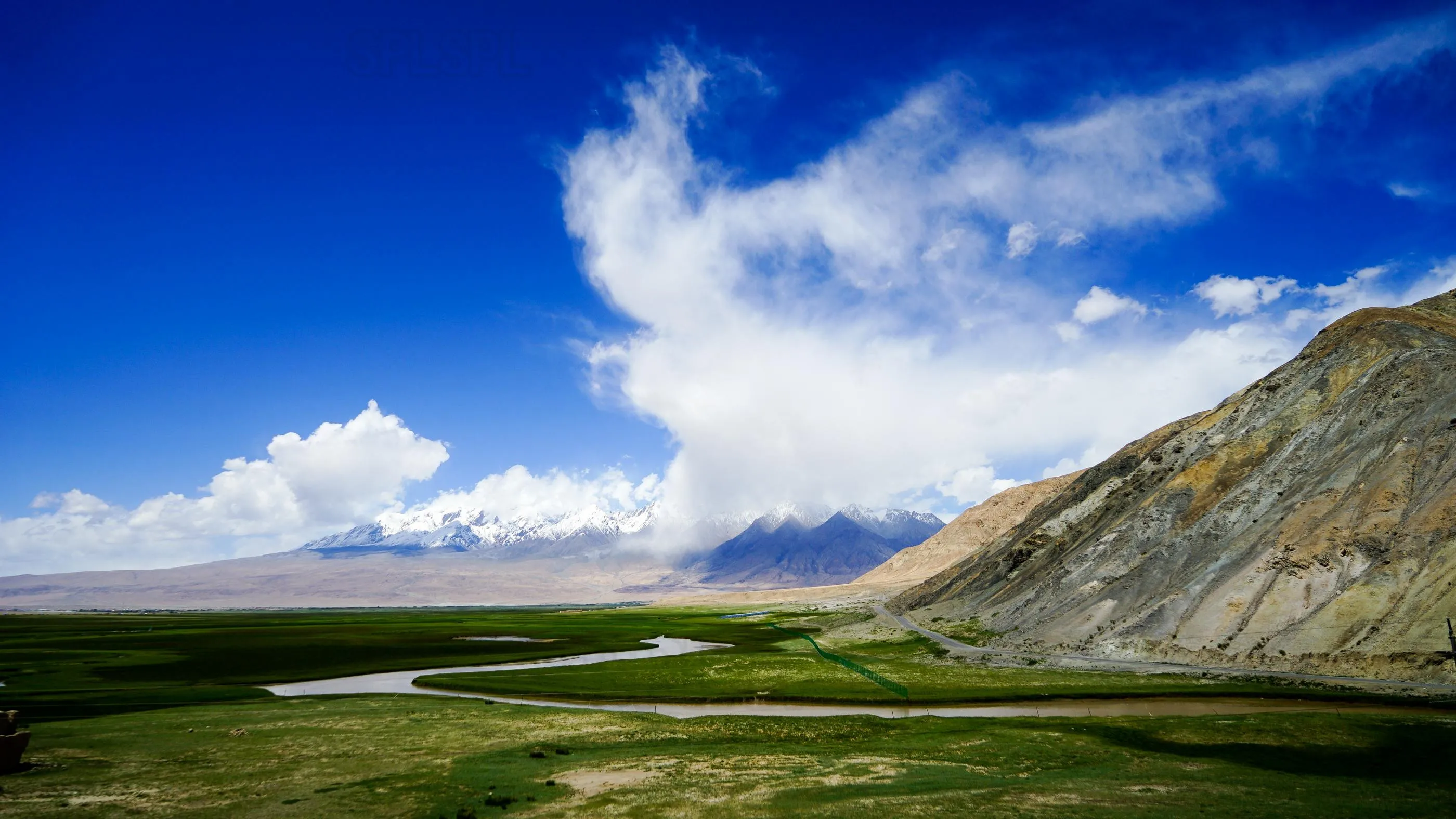 

Diy Diamond Painting Cartoon Version Ancient Bun Costume Character Beautiful Flower and Bird Home Decoration Bedroom Poster