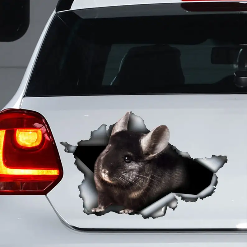 

Black Chinchilla car decal, black chinchilla magnet, cute chinchilla sticker