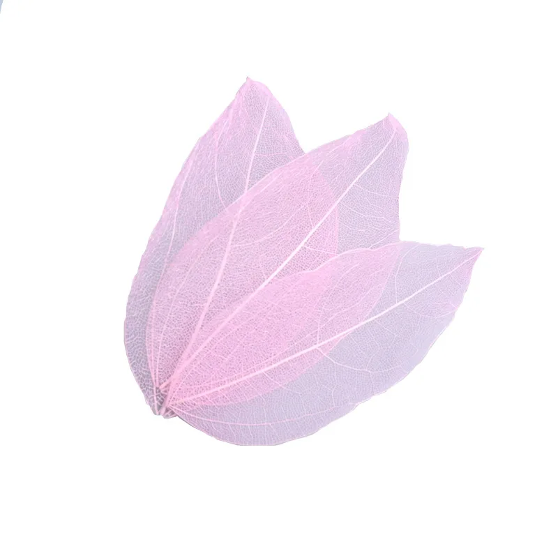 

Natural King Kong Skeleton Leaf Vein Dried Nail Art Flowers For DIY Bookmarks Party Home Decor Handmade Phone Case Materials