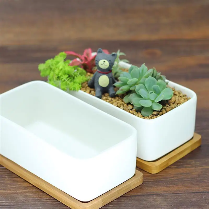 Декоративный мини белый прямоугольный цветочный горшок с белым КАКТУСОМ