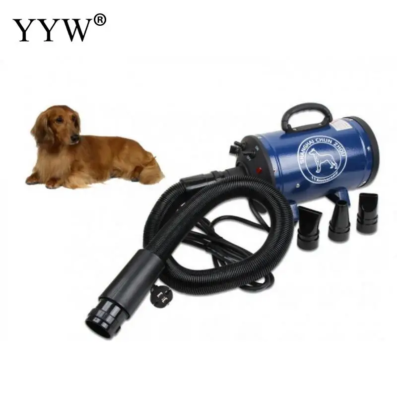 

Dog Grooming Hair Dryer Cheap Pet Hair Dryer Holder Rack Blower 2400w+ Plug Bs-2400 Super Wind Pet Blowing Machine Pet Dryer