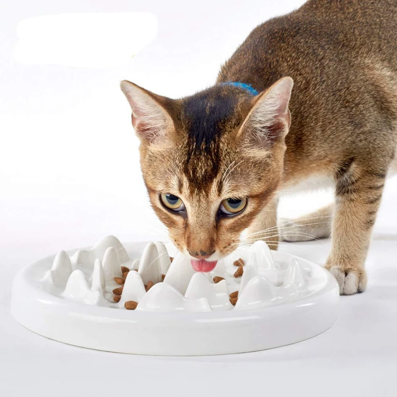 

Slow Feeder Bowl, Ceramic Fun Interactive Feeder Bloat Stop Cat Bowl Preventing Feeder Anti Gulping Healthy Eating Diet Pet Bowl