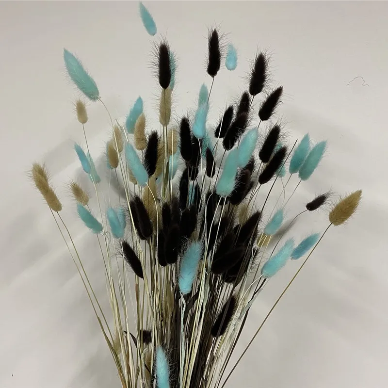 

Natural Pampas Dried Flower Rabbit Tail Grass Bouquet Floral Lagurus Ovatus Wedding Home Decor Festive Fleur Eternelle