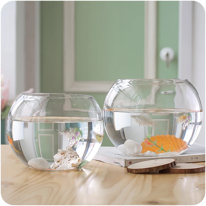 8 шт./упак. Диаметр = 20 см большой Размеры плоской подошве открытый носок Стекло