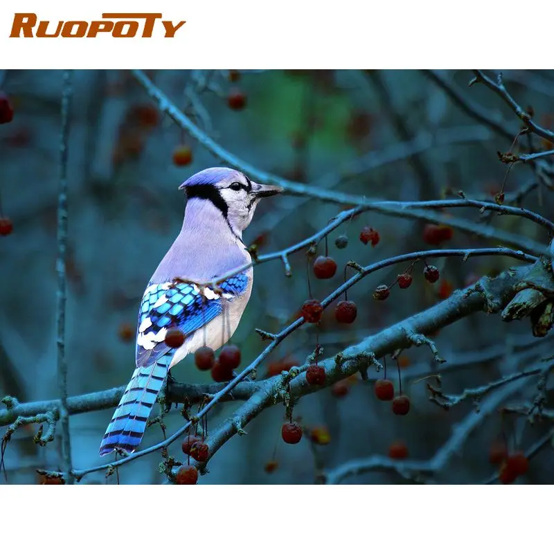 

RUOPOTY 60x75cm Frame Picture By Number Brids Animals Paint By Numbers Acrylic Paint On Canvas Home Decors For Diy Gift