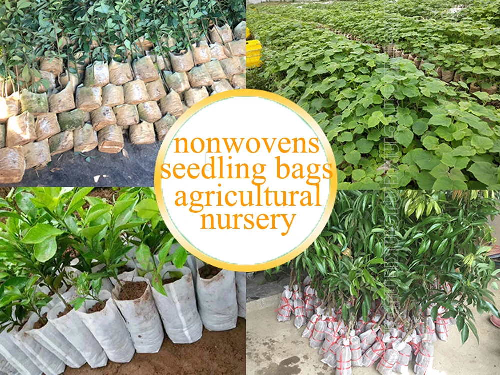

Different Sizes Biodegradable Non-woven Nursery Bags Plant Grow Bags Planting Bags Fabric Seedling Pots Eco-Friendly Aeration