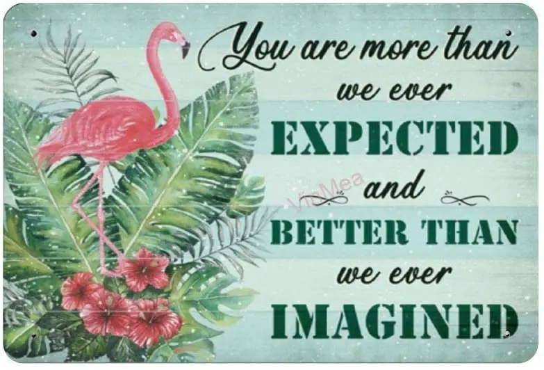 

Bit SIGNSHM You are More Than We Ever Expected Retro Metal Tin Sign Plaque Poster Wall Decor Art Shabby Chic Gift Suitable 12x8