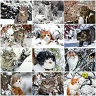 Алмазная 5D картина HUACAN с кошкой, полноразмернаякруглая мозаика с изображением животных, зимнее украшение для вышивки крестиком для дома