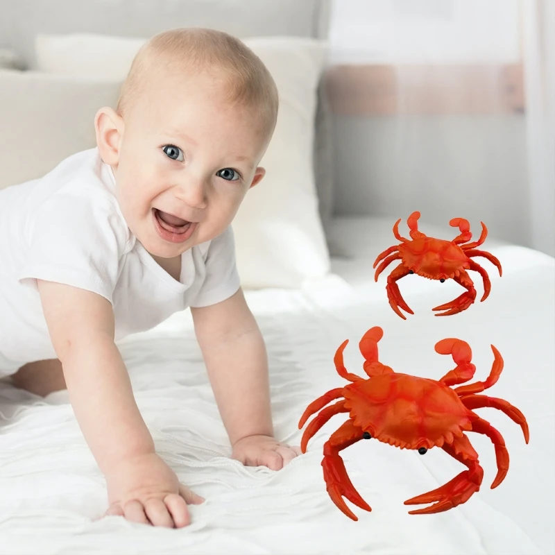 

Simulation Crab Model Early Childhood Education Cognitive Voice Pinching Music Develop Intelligence and Expand Thinking