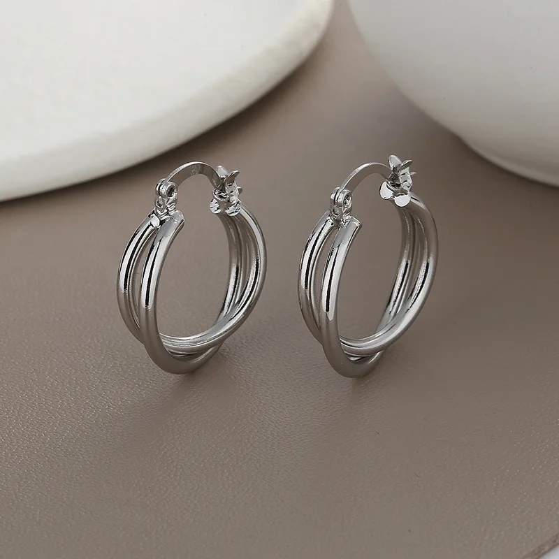 

Simply Design Double Hoop Earrings Delicate Geometric Earrings Hot Selling Personality Temperament Earrings For Women