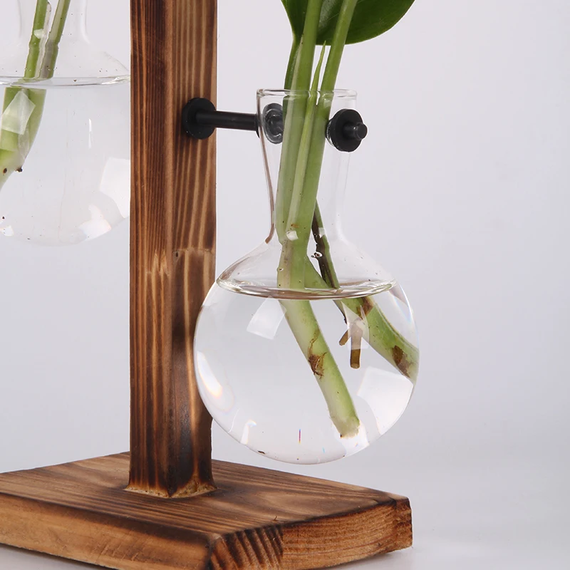 Гидропонная фотография Terrarium винтажный цветочный горшок прозрачная ваза