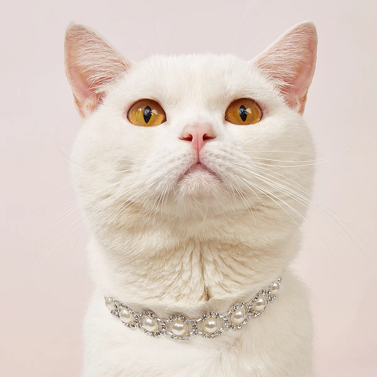 

Designer Fancy 3 Row Pearls Diamond Pet Cat Dog Necklace Collar Jewelry with Bling Rhinestones for Pets Cats Small Dogs Female P