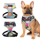 Нейлоновая шлейка для собак и кошек, с принтом французского бульдога, маленькая, Сбруя для собак, жилет для дрессировки выгула чихуахуа, Йоркшира
